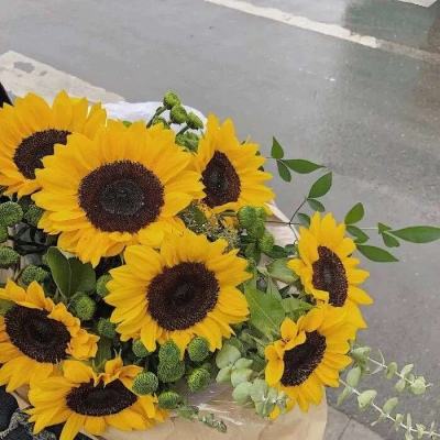 华体会登录下载手机版