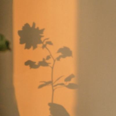 pg电子·模拟器(试玩游戏)下载手机版